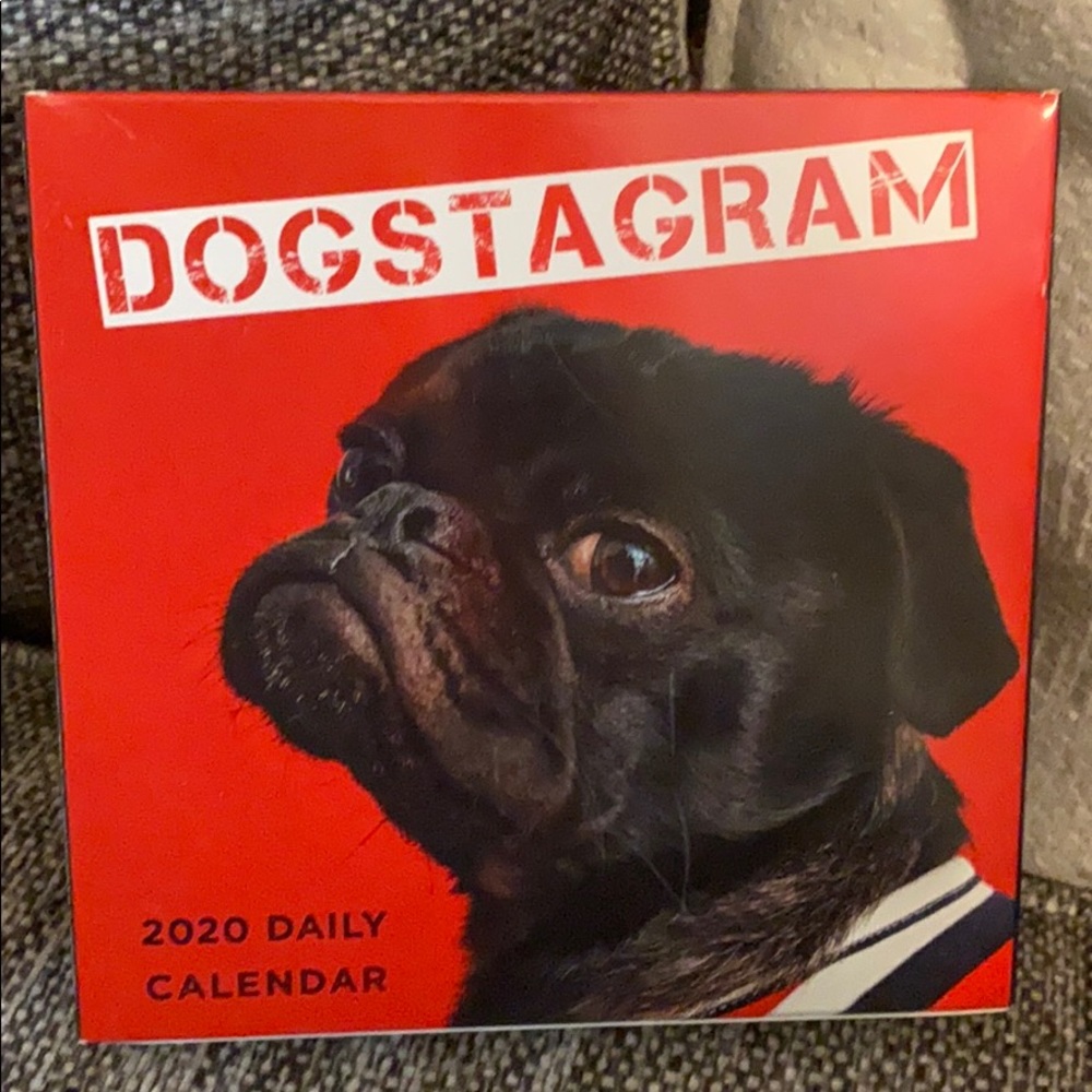 2020 Daily Dogstagram Desk Calendar